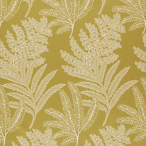Maxibel Mimosa Apex Curtains